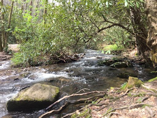 16-year-old drowns in Great Smoky Mountains National Park Oconaluftee River