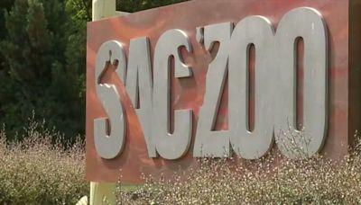 What is in the area where the new planned Sacramento Zoo will be built?