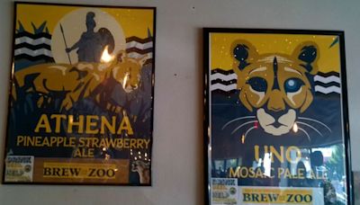 Drinking beer helps endangered Florida panthers at Brew for the Zoo