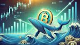 Whales Bet Big on Bitcoin: Is This the Perfect Buy Opportunity? - EconoTimes