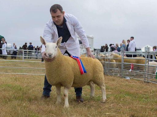 PICTURES: Latheron Show getting ‘bigger and bigger’ ahead of 100th event