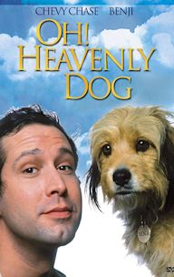 Oh, Heavenly Dog!