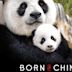 Born in China