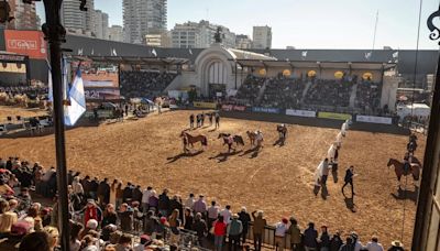 Exposición Rural 2024: el caballo criollo fue reconocido como “Marca País” de la Argentina