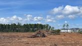 Why were 21 acres of trees cleared in Carolina Forest? Here’s what we know