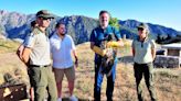 Un tercer pollo de quebrantahuesos apoya la reintroducción de la especie en Sierra Nevada