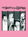 La noche de la iguana