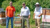 Can this Delaware-invented beehive help save bee colonies from dying?