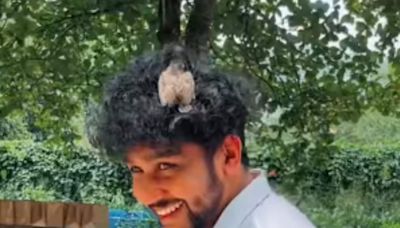 Watch: Bird Rests On Man’s Curly Hair Mistaking It For Nest - News18