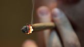 Cannabis-smoking teens 11 times more prone to mental health problems