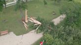 Lightning levels low in Manitoba, but strike still flattens tree in Winnipeg | CityNews Winnipeg