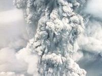 Learn about timberland restoration after Mount St. Helens blast