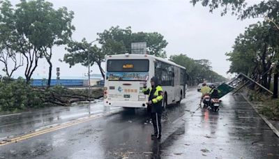 瘋狂豪雨侵襲高屏！高雄湖內「路樹、電桿、路牌」被吹倒