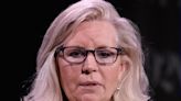 Liz Cheney warns that Trump won't leave office if he's elected to a second term and says voting for him 'may mean the last election that you ever get to vote in'