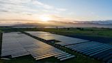 Pioneering Agrivoltaics in New Zealand — Trinasolar Celebrates Success of Rangitaiki Solar Farm - CleanTechnica