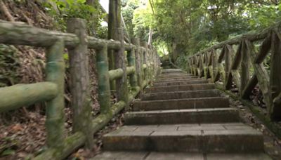 劍潭山爬山驚見裸男 遭控慣犯警追查可開罰