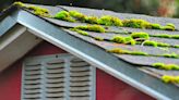 How to remove moss on a roof – expert techniques that work and the internet hacks to ignore