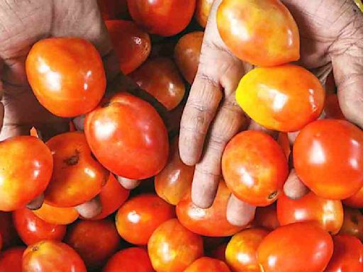 Tomato prices soar to Rs 100 per kg in Delhi markets as rains hit supplies
