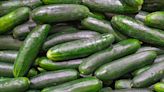 Florida Cucumbers Recalled Due to Salmonella Contamination - Consumer Reports