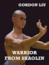 Warrior From Shaolin