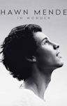 Shawn Mendes: In Wonder