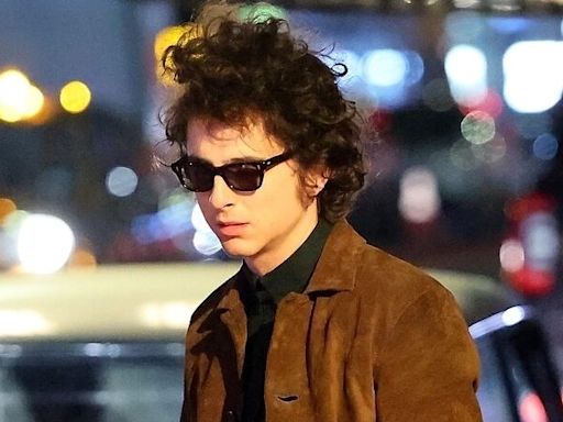 De Timothée Chalamet a Theo James: quiénes son los cinco actores que protagonizan las biopics musicales más esperadas