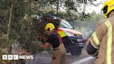 Dibden Enclosure: New Forest fire thought to be deliberate