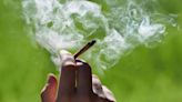 Senate Democrats to roll out weed decriminalization bill next week