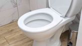 Everything You Need to Know About Toilet Installation Costs
