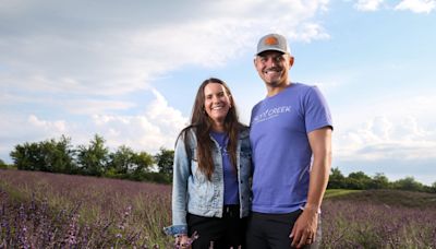 Lavender fields forever: Calyx Creek offers flower-filled vacation destination