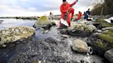 ‘Two cubic metres of oil’: Swedish coastguard rushing to clean up ferry fuel leak