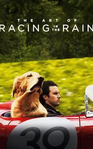 The Art of Racing in the Rain