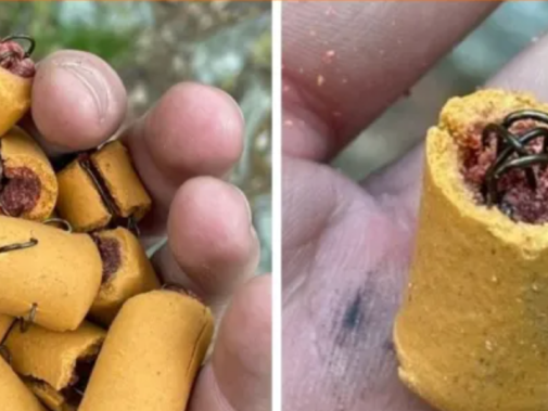 Fish hook-stuffed dog treats found on the Appalachian Trail, Pennsylvania Game Commission warns