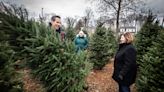 Where can you (still) buy a Christmas tree in the Hudson Valley?