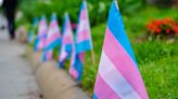 Transgender bathroom restrictions advance from Louisiana Senate committee