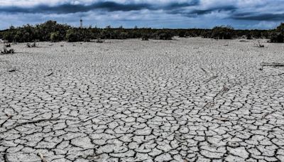 Esta es la región de México con mayor nivel de sequía, según Conagua