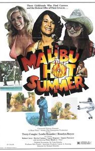 Malibu Hot Summer