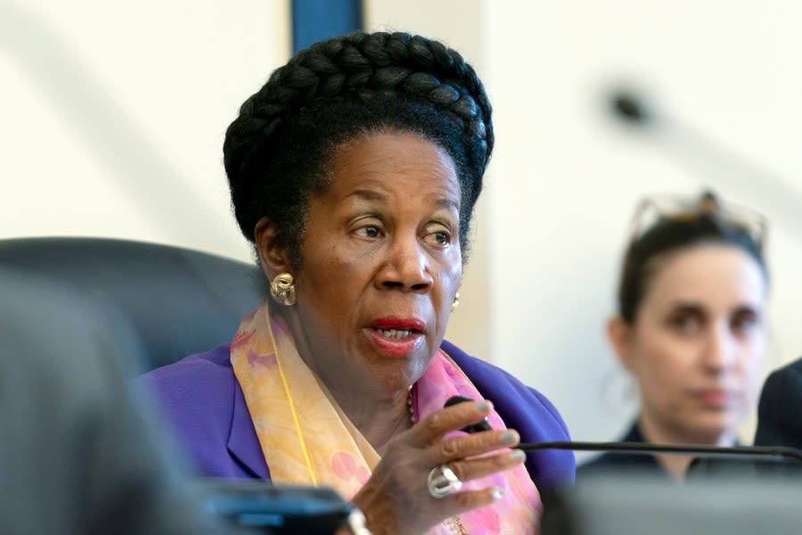 Sheila Jackson Lee reintroduces George Floyd Justice in Policing Act