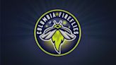 Pena sets Fireflies career home run record