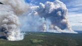 B.C. wildfire crews battle blaze in ancient forest park with 1,000-year-old trees