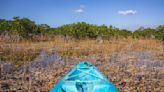 Florida to spend $1.5B in additional funds for Everglades, water quality