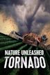 Nature Unleashed: Tornado