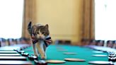 Britain's true ruler? 'Chief Mouser' Larry the Downing Street cat