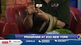 Zoo New York offers docent & volunteer opportunities
