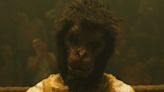 Monkey Man: el despertar de la bestia llega a los cines de Latinoamérica - El Diario - Bolivia