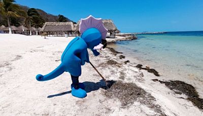 Critican en redes al balneario 'Playa Bonita' por usar botarga en plena ola de calor en Campeche