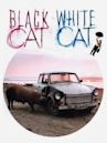 Gatto nero, gatto bianco