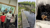 AROUND ALASKA: Youth Business, Elevated Walkways, and Bird Rescue!