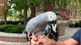 La Grange’s Annual Pet Parade, “America’s Original,” not deterred by rain