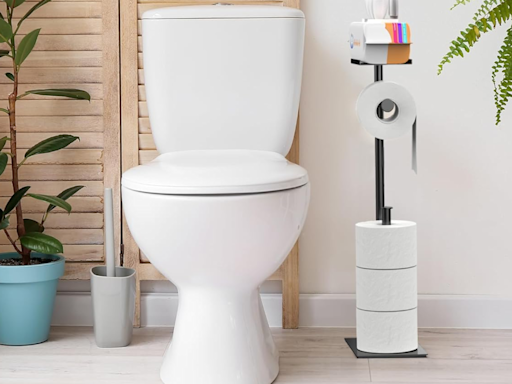 Hold the phone (literally): This handy, shelved TP stand is $17 — it's 60% off
